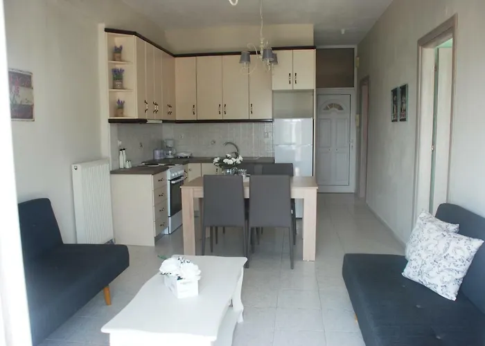 Vintage 公寓 欧拉努波利斯