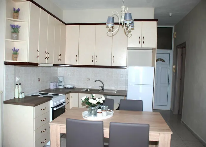 Vintage 欧拉努波利斯