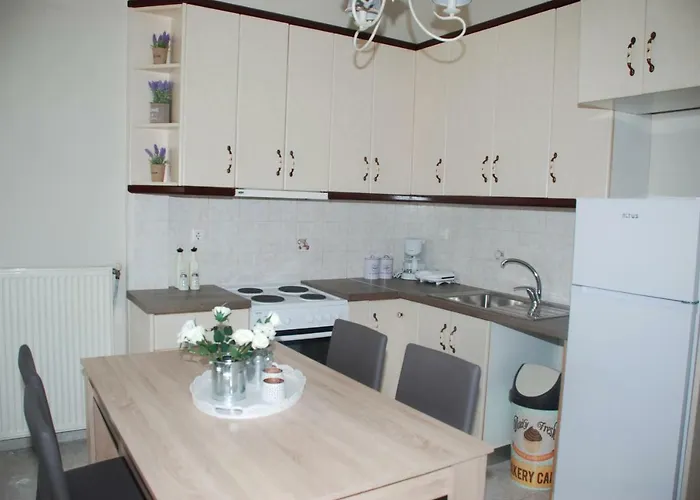 Vintage * 欧拉努波利斯