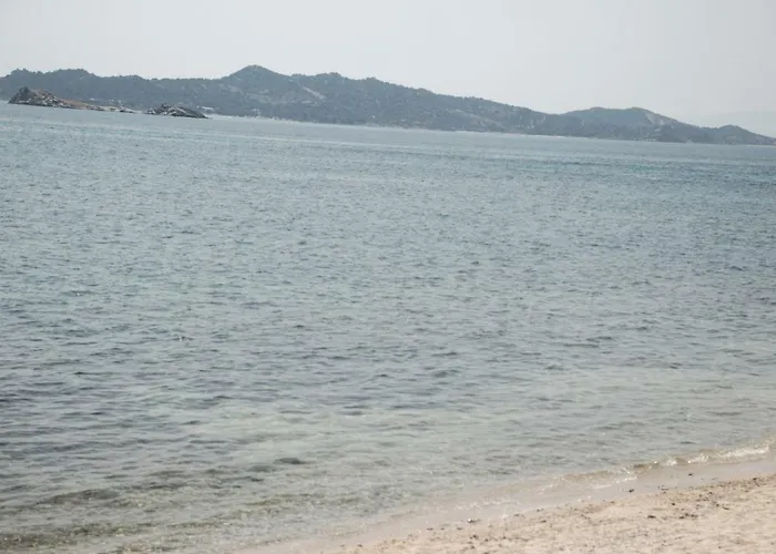 Vintage 欧拉努波利斯